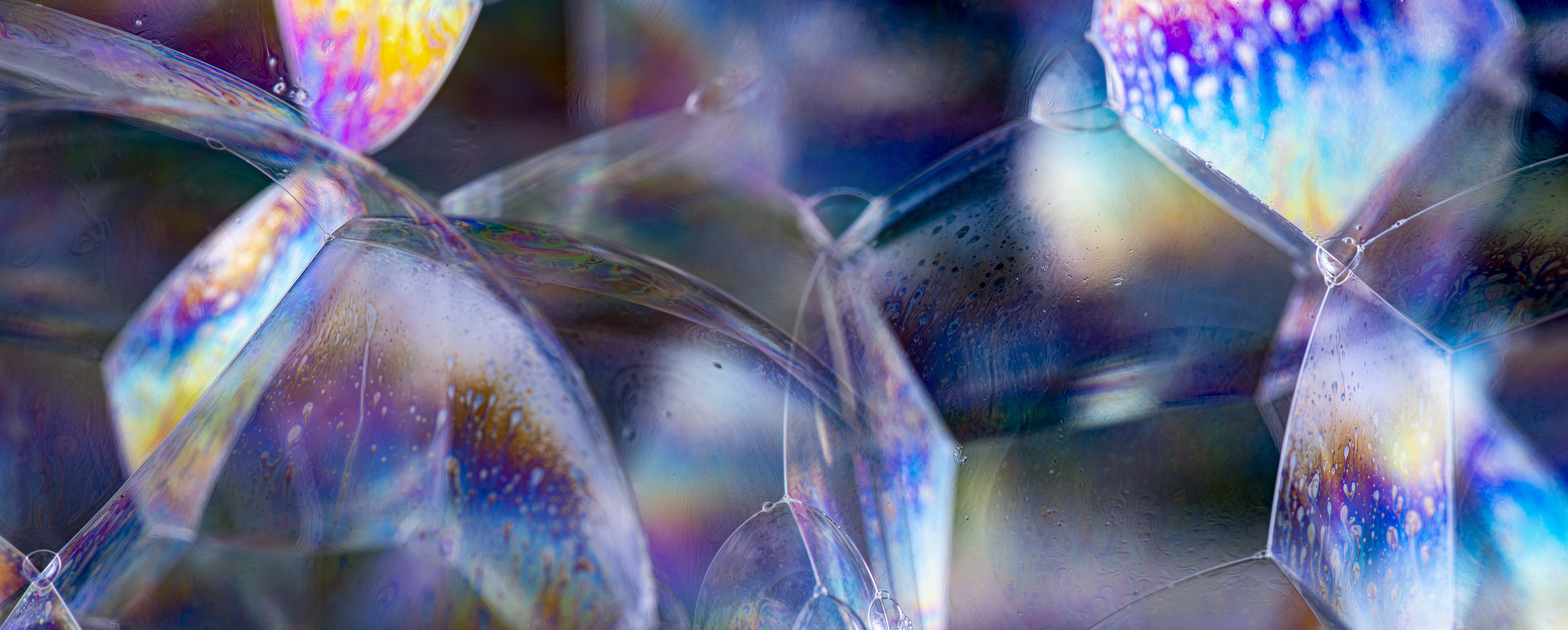 Adobestock 310547079